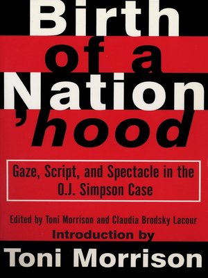 cover image of Birth of a Nation'hood